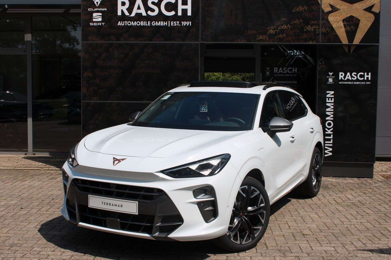 Cupra Terramar occasion