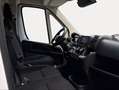 Toyota Proace Max Van GX L2H2 3.5 2.2D 140CV 6MT Blanco - thumbnail 6