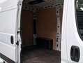 Toyota Proace Max Van GX L2H2 3.5 2.2D 140CV 6MT Blanco - thumbnail 11