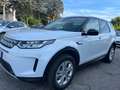 Land Rover Discovery Sport Discovery Sport 2.0d ed4 fwd 150cv - thumbnail 1