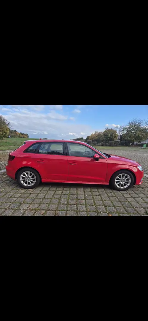 Audi A3 1.6 TDI ultra Attraction TÜV neu Červená - 2