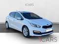 Kia Ceed / cee'd 1.4 CVVT 74kW (100CV) Drive Weiß - thumbnail 14