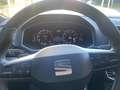SEAT Tarraco 2.0 TSI Xcellence 4 Drive 190 cv DSG Bianco - thumbnail 13