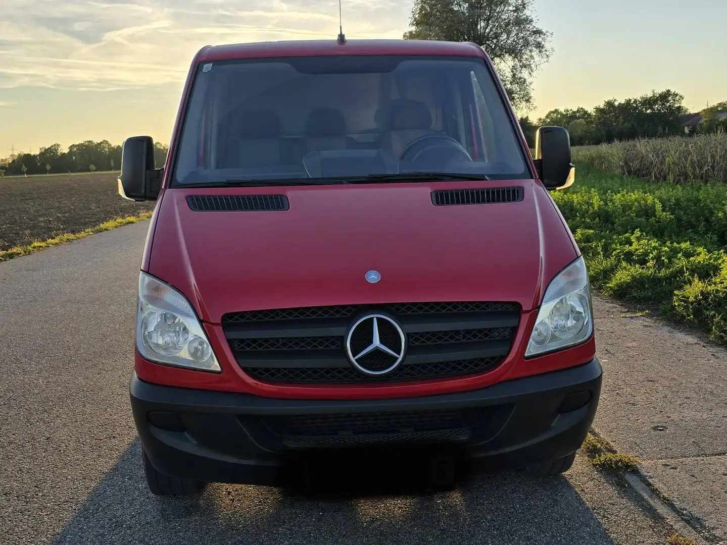 Mercedes-Benz Sprinter 313 CDI Rot - 1