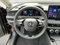 Skoda Superb Selection TDI DSG Schwarz - thumbnail 17