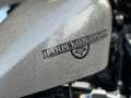 Harley-Davidson Sportster Forty Eight S Kesstech - thumbnail 8