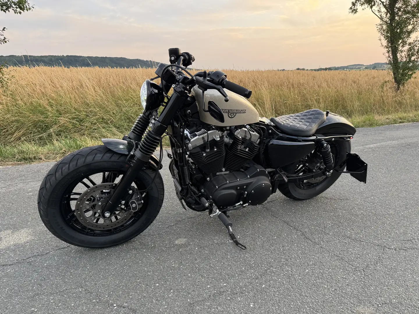 Harley-Davidson Sportster Forty Eight S Kesstech - 1