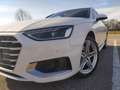 Audi A4 Business Advanced 2.0 35 TDI MHEV Weiß - thumbnail 6