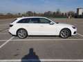 Audi A4 Business Advanced 2.0 35 TDI MHEV Weiß - thumbnail 20