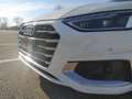 Audi A4 Business Advanced 2.0 35 TDI MHEV Weiß - thumbnail 16