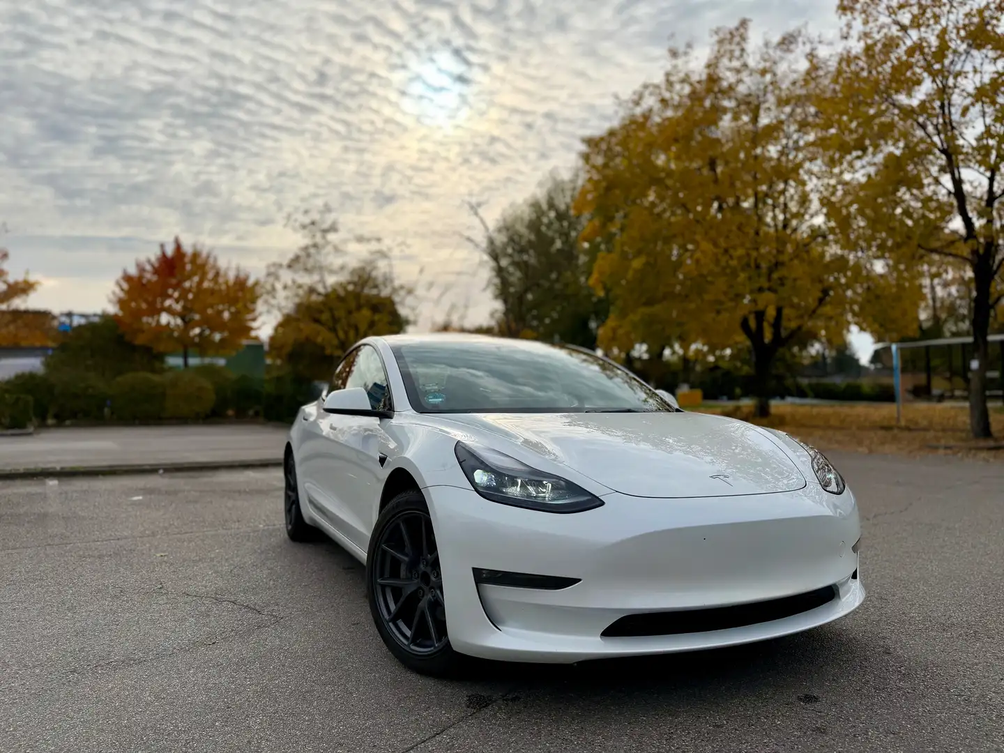 Tesla Model 3 Model 3 RWD Hinterradantrieb Weiß - 1