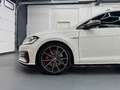Volkswagen Golf GTI*TCR*PANORAMA*ACC*DCC*KAMERA* Biały - thumbnail 14