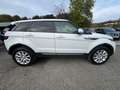 Land Rover Range Rover Evoque 2.0TD4 SE 4WD Aut. 150 - thumbnail 5