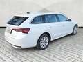 Skoda Octavia 1.5 tsi mhev Selection 150cv dsg N1 Autocarro Blanc - thumbnail 6