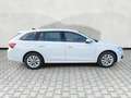 Skoda Octavia 1.5 tsi mhev Selection 150cv dsg N1 Autocarro Weiß - thumbnail 7