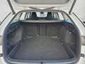Skoda Octavia 1.5 tsi mhev Selection 150cv dsg N1 Autocarro Weiß - thumbnail 13