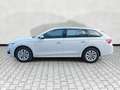Skoda Octavia 1.5 tsi mhev Selection 150cv dsg N1 Autocarro Weiß - thumbnail 4