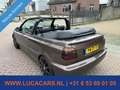 Volkswagen Golf Cabriolet 1.8 Brązowy - thumbnail 5