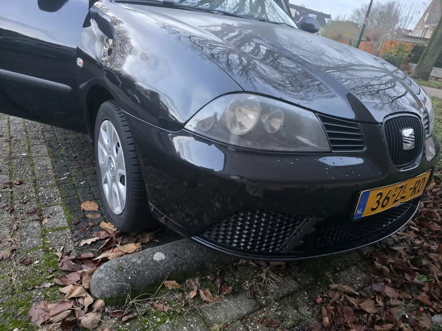 SEAT Ibiza 1.4 16V Comfort Edition - 2