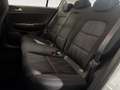 Kia Sportage 1.6 ECOGPL Style Bianco - thumbnail 11