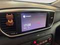 Kia Sportage 1.6 ECOGPL Style Bianco - thumbnail 10