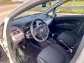 Fiat Punto Evo 5p 1.3 mjt 75cv Bianco - thumbnail 9