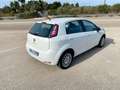 Fiat Punto Evo 5p 1.3 mjt 75cv Bianco - thumbnail 5