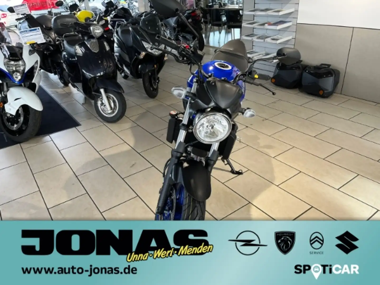 Suzuki SV 650 2025er Modell in Menden bei Jonas Azul - 2