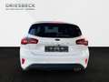Ford Focus ST-Line AHK Weiß - thumbnail 4