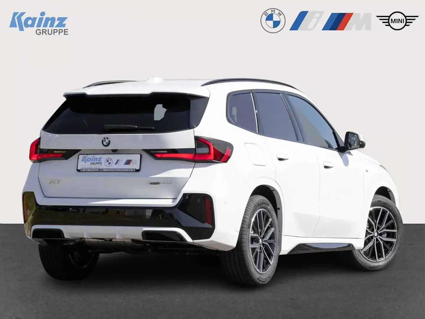 BMW X1 xDrive20d M Sport/Inno/AHK/DriveAss/HiFi Wit - 2
