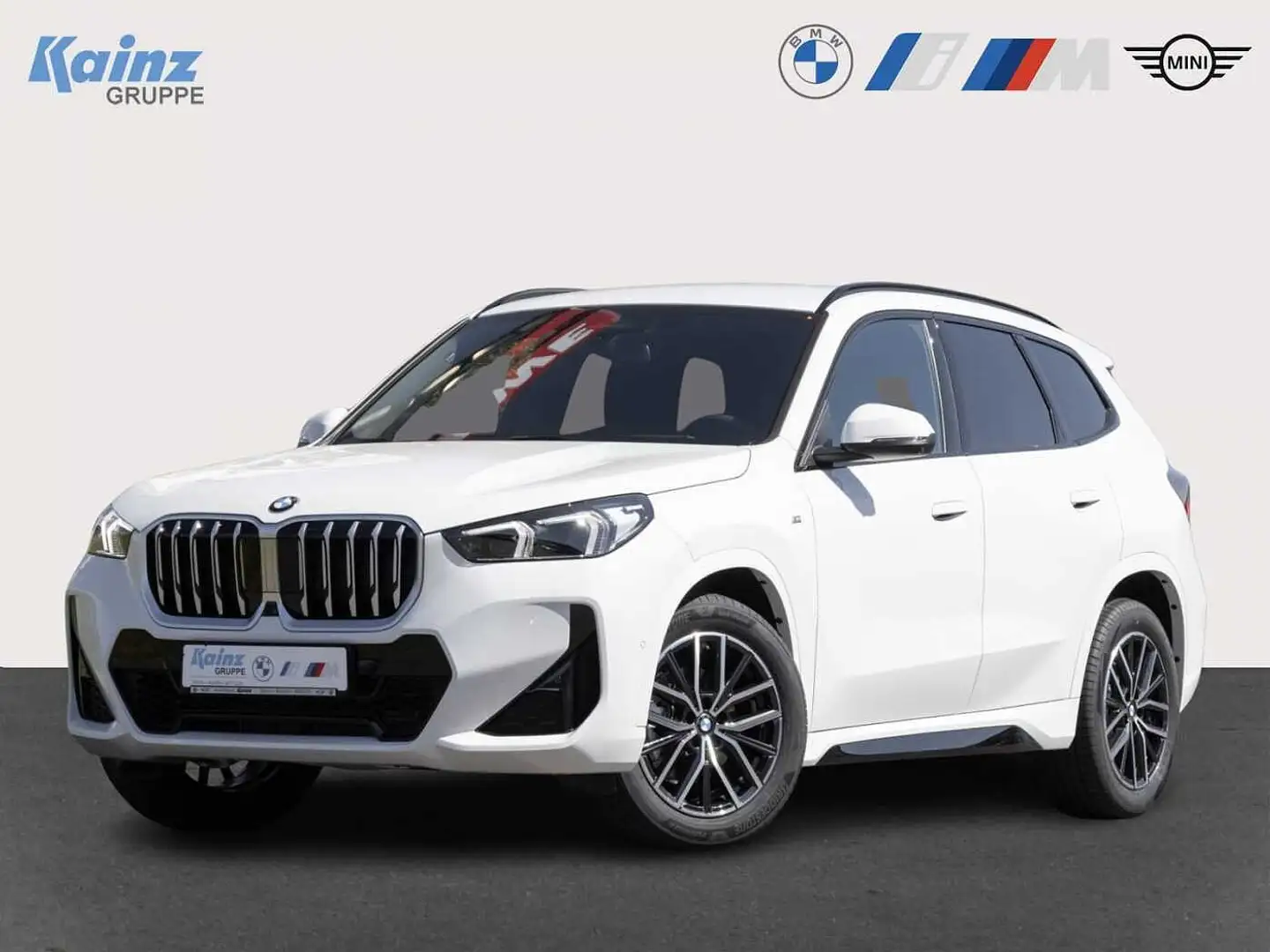 BMW X1 xDrive20d M Sport/Inno/AHK/DriveAss/HiFi Wit - 1