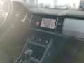 Skoda Kodiaq 2.0 TDI Tour 4x4 DSG 360°+AHK+Distronic Schwarz - thumbnail 13