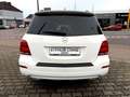 Mercedes-Benz GLK 220 GLK -Klasse GLK 220 CDI BlueTec 4Matic Blanc - thumbnail 7