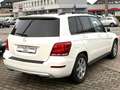 Mercedes-Benz GLK 220 GLK -Klasse GLK 220 CDI BlueTec 4Matic Blanc - thumbnail 6
