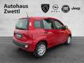 Fiat Panda /Pandina Icon Hybrid 70 Rot - thumbnail 6