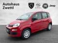 Fiat Panda /Pandina Icon Hybrid 70 Rot - thumbnail 1