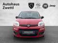 Fiat Panda /Pandina Icon Hybrid 70 Rot - thumbnail 2