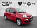 Fiat Panda /Pandina Icon Hybrid 70 Rot - thumbnail 8