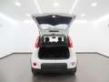 Fiat Panda Hybrid 1.0 Gse 51kw (70CV) Blanco - thumbnail 10