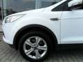 Ford Kuga Kuga 2.0 tdci Plus 4wd 140cv powershift Bianco - thumbnail 5