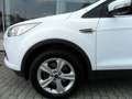 Ford Kuga Kuga 2.0 tdci Plus 4wd 140cv powershift Wit - thumbnail 5