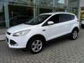 Ford Kuga Kuga 2.0 tdci Plus 4wd 140cv powershift Bianco - thumbnail 1