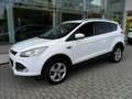 Ford Kuga Kuga 2.0 tdci Plus 4wd 140cv powershift Wit - thumbnail 1