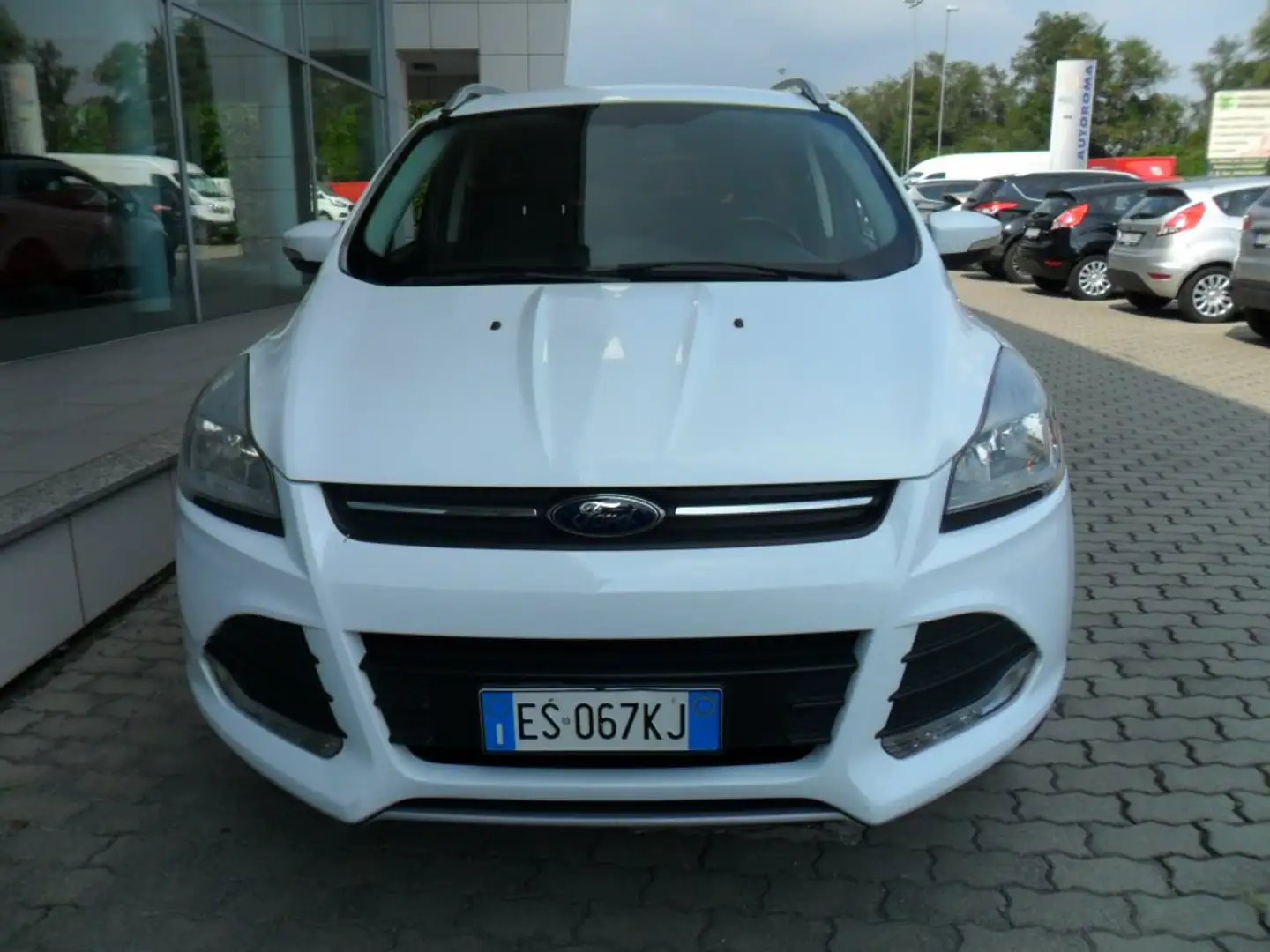 Ford Kuga Kuga 2.0 tdci Plus 4wd 140cv powershift Bianco - 2