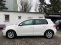 Volkswagen Golf VI Team BlueMotion/BMT Navi*Alu*Szhz*Eu5 Weiß - thumbnail 7