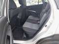 Suzuki S-Cross 1,4 DITC Hybrid clear Silber - thumbnail 9