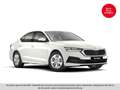 Skoda Octavia 2.0 TDI Ambition LED+KeyLess+LM+PDC+SHZ Weiß - thumbnail 2