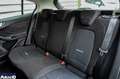 Ford Focus Focus Active 1.0 ecoboost h Design 125cv Grigio - thumbnail 15