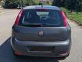 Fiat Punto Fiat Punto 5p 1.4 Easypower Street Benzina/Gpl E6 Grigio - thumbnail 5