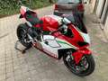 Ducati Panigale V4 Rojo - thumbnail 5